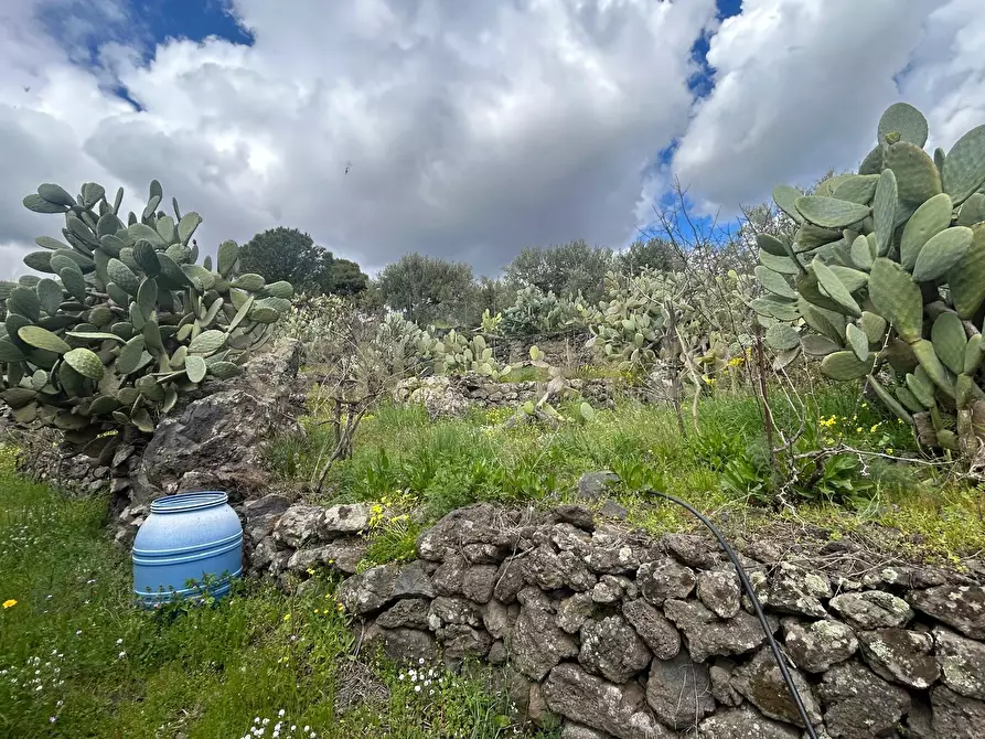 Immagine 25 di Terreno edificabile in vendita  in Viale Giovanni Falcone 9 a Camporotondo Etneo