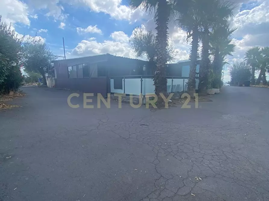 Immagine 4 di Pizzeria / Pub in vendita  in Via Alcide de Gasperi 110 a Mascalucia