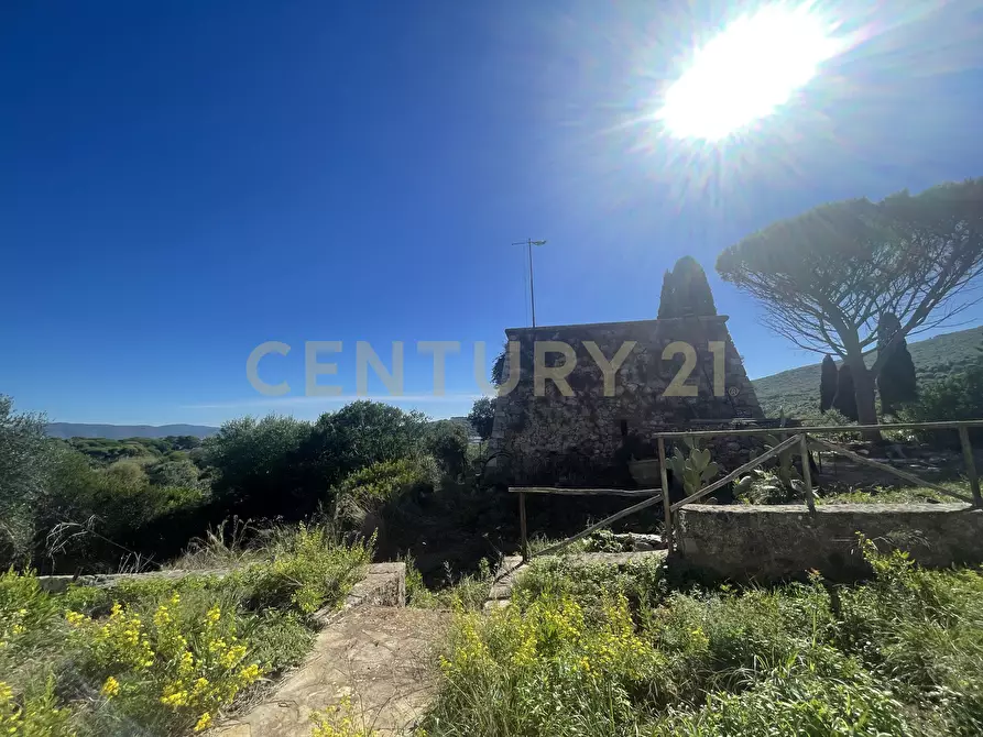 Immagine 11 di Villa in vendita  in località santa liberata a Monte Argentario
