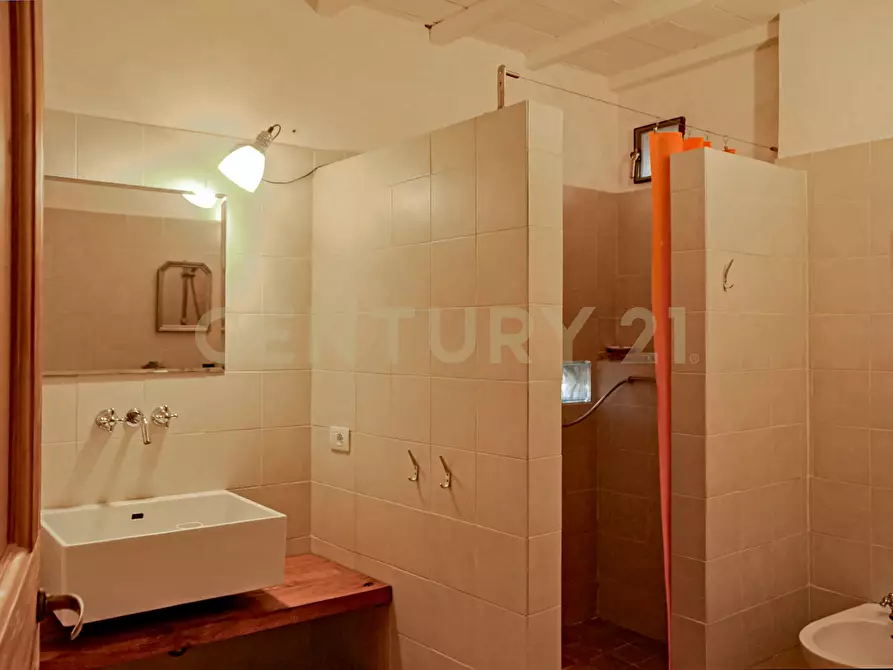 Immagine 43 di Rustico / casale in vendita  in località podere dogana a Roccastrada