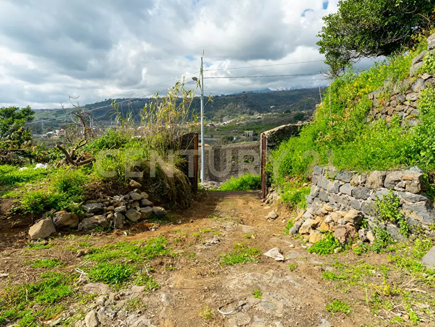 Immagine 3 di Terreno agricolo in vendita  in via giuseppe zinghirino 1 a Giarre