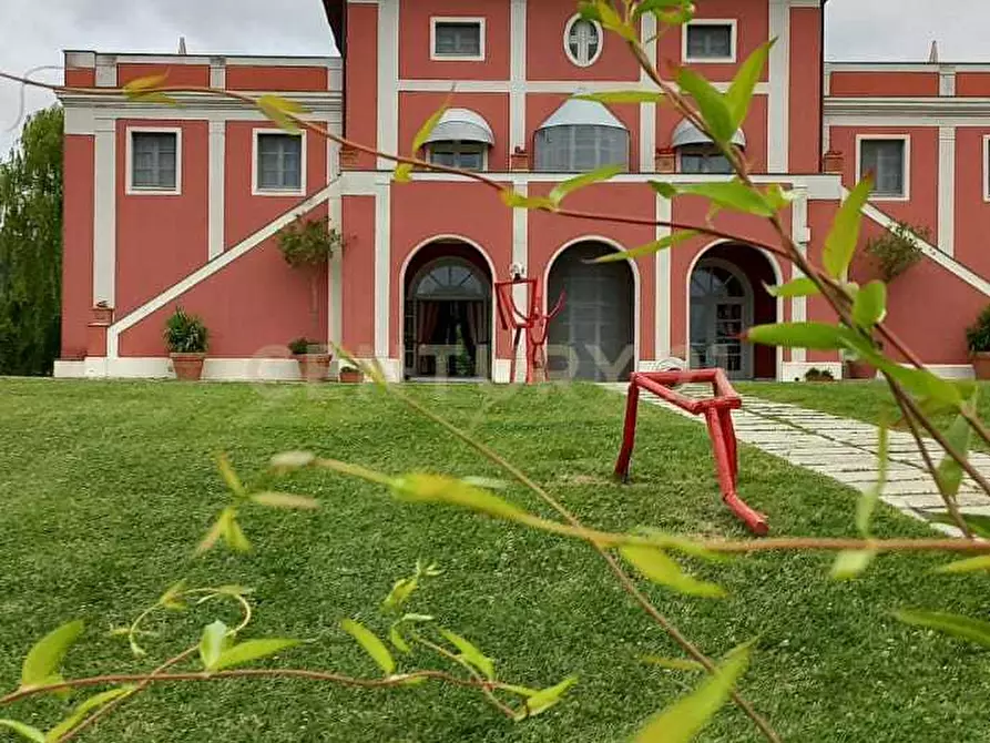 Immagine 6 di Azienda agricola in vendita  in Strada della Sgrilla 16/a a Capalbio