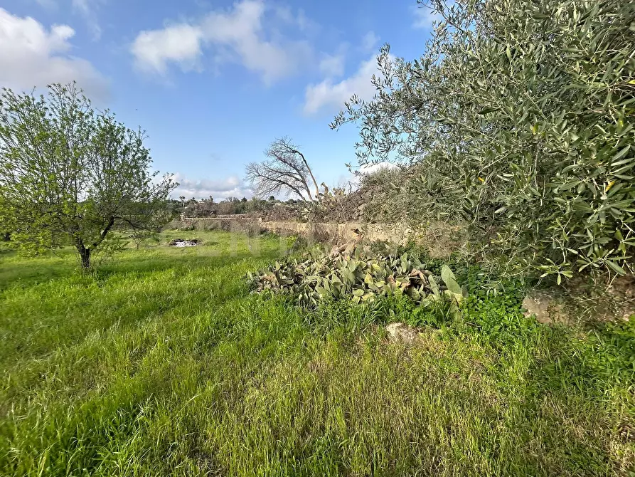 Immagine 35 di Terreno agricolo in vendita  in Via Giovanni Verga 1/A a Misterbianco