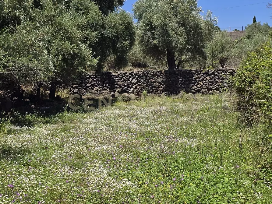 Immagine 23 di Terreno agricolo in vendita  in Vico Agatino De Marco a Gravina Di Catania