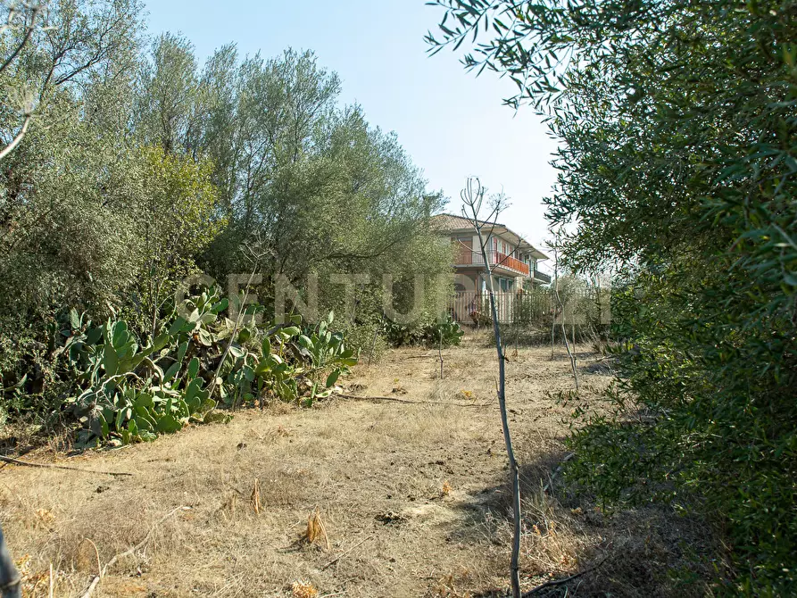 Immagine 13 di Terreno edificabile in vendita  in CONTRA FURERIA snc a Belpasso