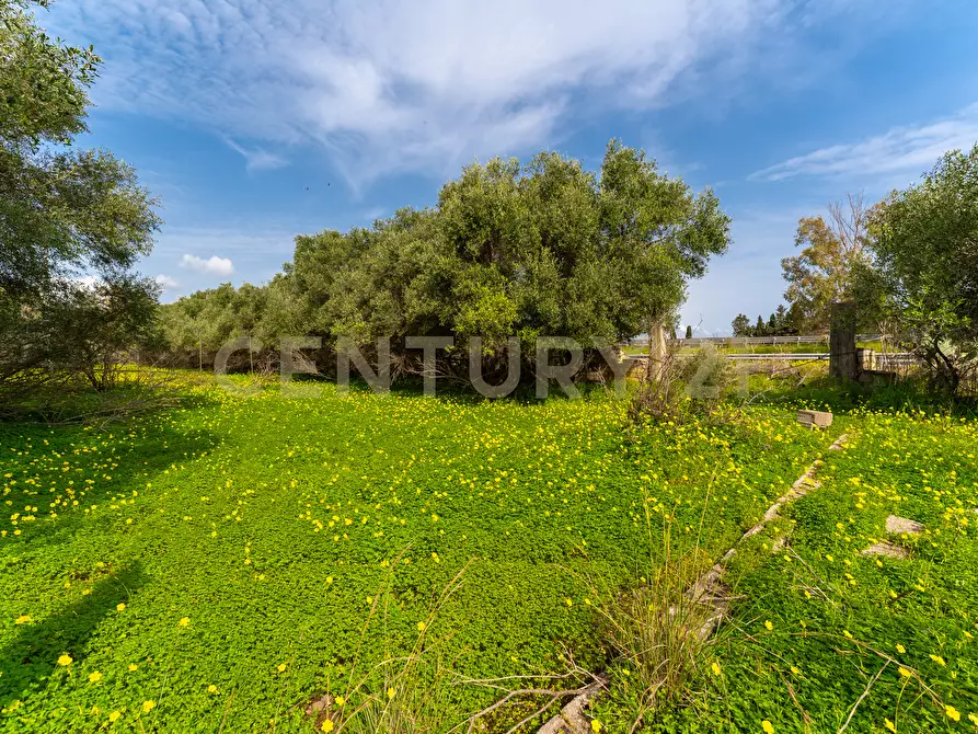 Immagine 18 di Terreno agricolo in vendita  in Contrada Vaccarizzo a Catania