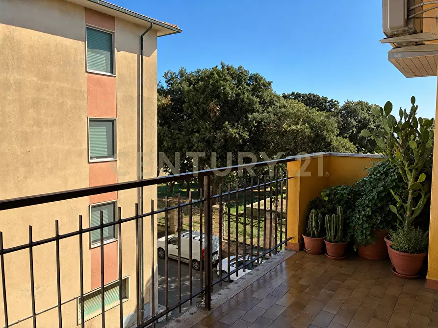 Immagine 16 di Quadrilocale in vendita  in Via Vittorio Alfieri 2 a Orbetello