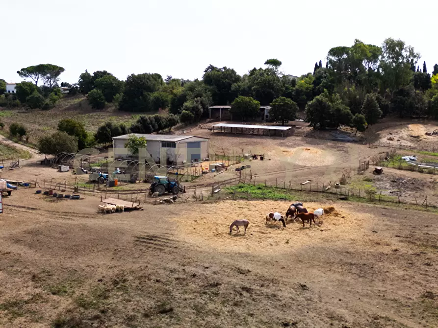 Immagine 18 di Rustico / casale in vendita  in LOCALITA PINZUTI a Manciano