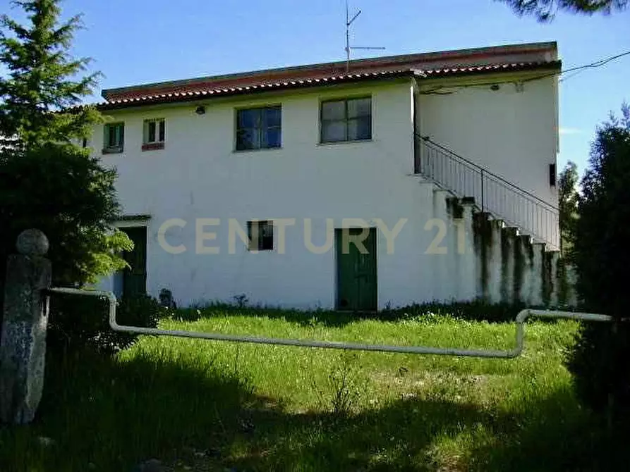 Immagine 3 di Rustico / casale in vendita  in località pian taverna a Cinigiano