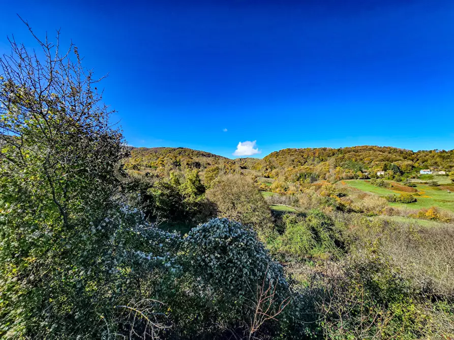 Immagine 28 di Rustico / casale in vendita  in monte labbro a Arcidosso