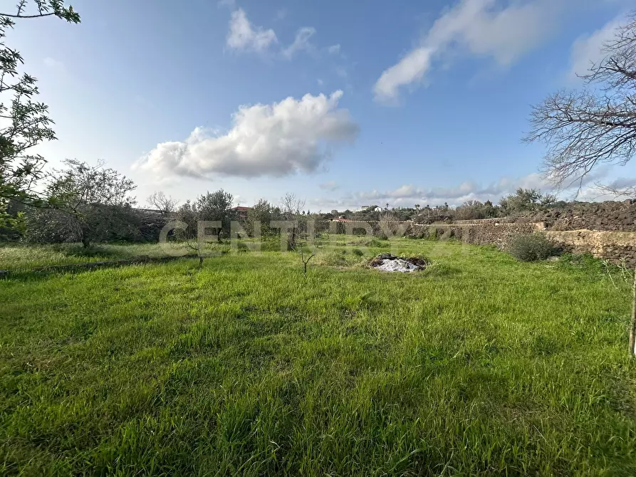 Immagine 34 di Terreno agricolo in vendita  in Via Giovanni Verga 1/A a Misterbianco