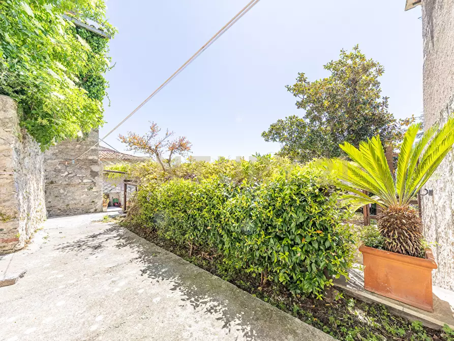 Immagine 96 di Rustico / casale in vendita  in Via Monte Scalambra a Serrone