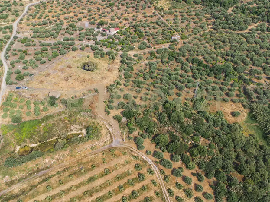 Immagine 22 di Terreno agricolo in vendita  in Via San Leo a Adrano