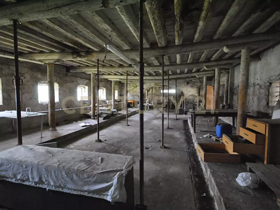 Immagine 10 di Palazzo in vendita  in Via Padovana 1a a Arcole