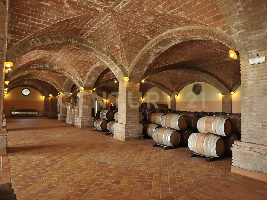 Immagine 57 di Villa in vendita  in Strada di Monte Bottigli a Grosseto