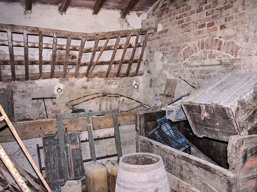 Immagine 7 di Rustico / casale in vendita  in Località Preselle sp 159 a Scansano