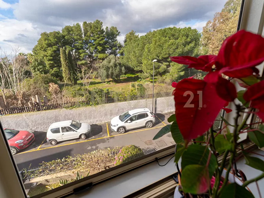 Immagine 21 di Trilocale in vendita  in Via Tremestieri 16 a Mascalucia