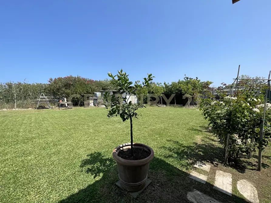 Immagine 18 di Terreno agricolo in vendita  in Strada Provinciale della Giannella a Orbetello