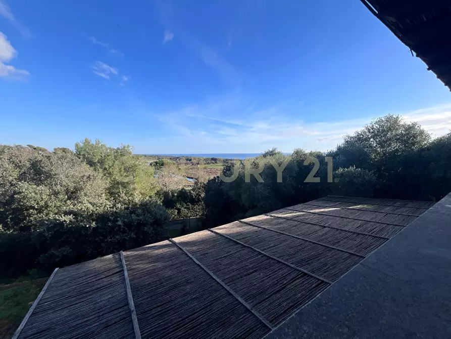 Immagine 16 di Villa in vendita  in Via delle Ginestre 80 a Orbetello