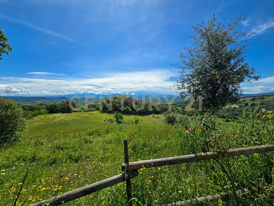 Immagine 24 di Rustico / casale in vendita  in podere le rocchette snc a Roccastrada