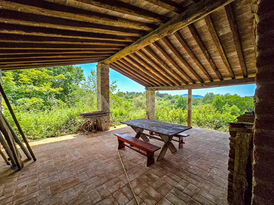Immagine 15 di Rustico / casale in vendita  in località podere la vena 20 a Civitella Paganico