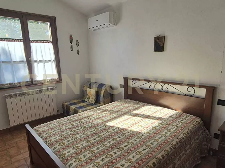 Immagine 14 di Azienda agricola in vendita  in località poggio al capraio snc a Roccastrada