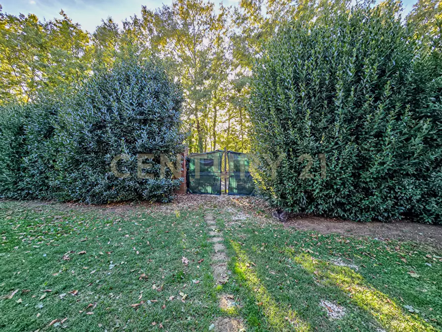 Immagine 4 di Rustico / casale in vendita  in Località Scovaventi 1 a Semproniano