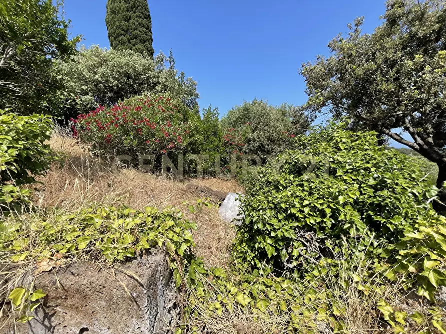 Immagine 10 di Rustico / casale in vendita  in località cannatelli snc a Monte Argentario