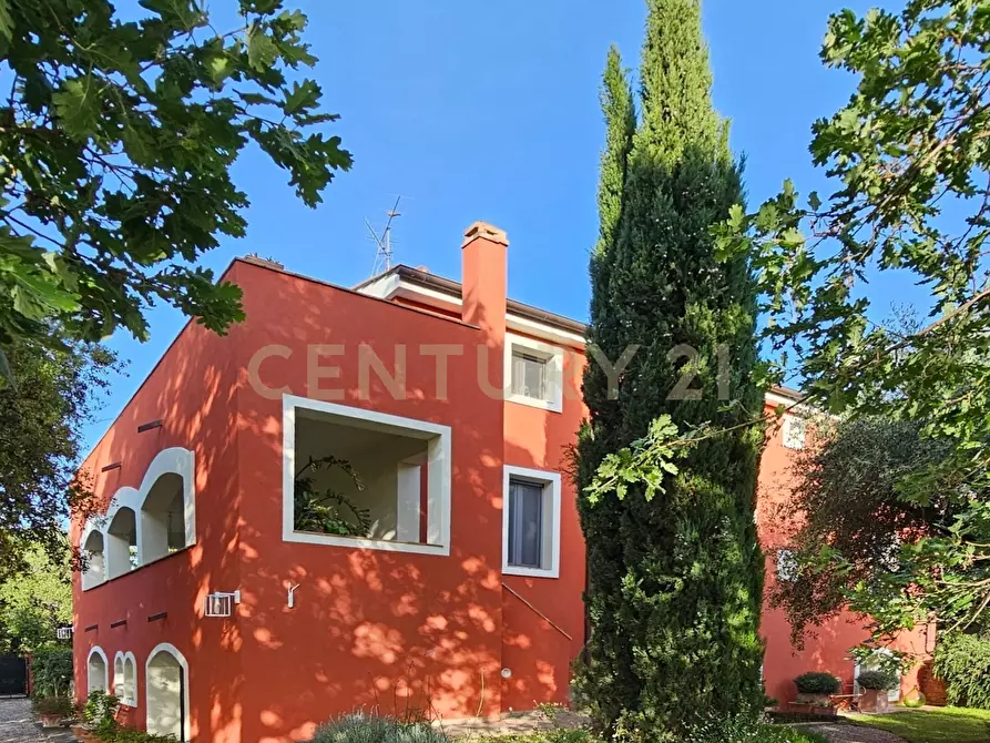 Immagine 4 di Rustico / casale in vendita  in località podere bizzarri a Scarlino