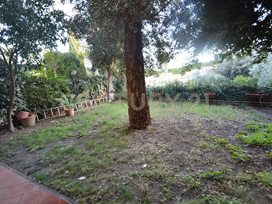 Immagine 25 di Villetta a schiera in vendita  a Grosseto