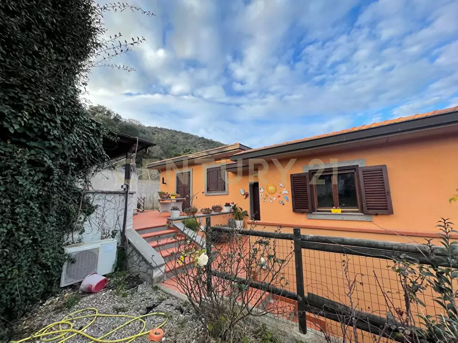 Immagine 7 di Villa in vendita  in Strada Vicinale del Grottino a Monte Argentario