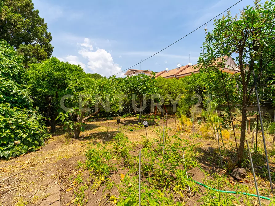 Immagine 25 di Villa in vendita  in Via Salemi 18 a Mascalucia