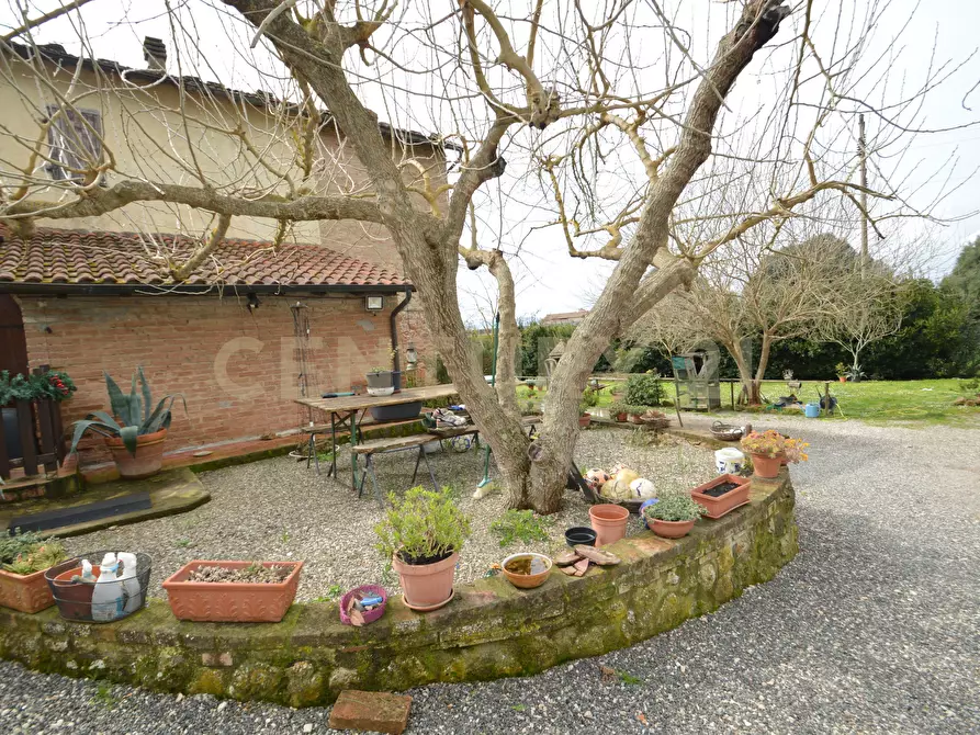 Immagine 4 di Porzione di casa in vendita  in via Aurelia Sud Loc. Braccagni 108 a Grosseto