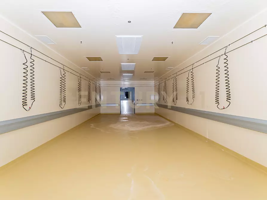 Immagine 17 di Attività artigianale in vendita  in Strada III Mimosa 14 a Catania