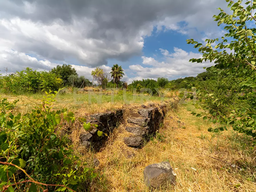 Immagine 35 di Villa in vendita  in Via Grazia Deledda 28 a Santa Venerina
