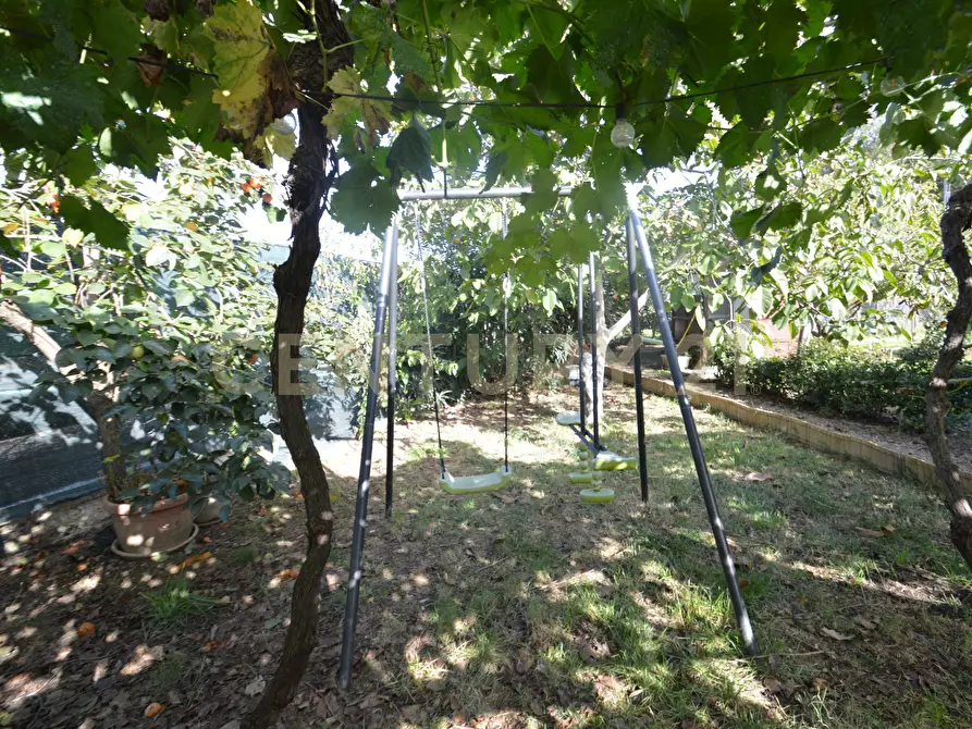 Immagine 20 di Terreno agricolo in vendita  in Via Alberto Sordi 12 a Grosseto