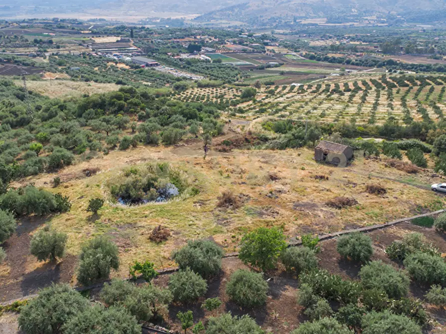 Immagine 13 di Terreno agricolo in vendita  in Via San Leo a Adrano