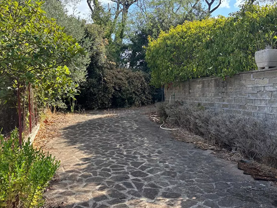 Immagine 5 di Villa in vendita  in via litoranea 528 a Sabaudia