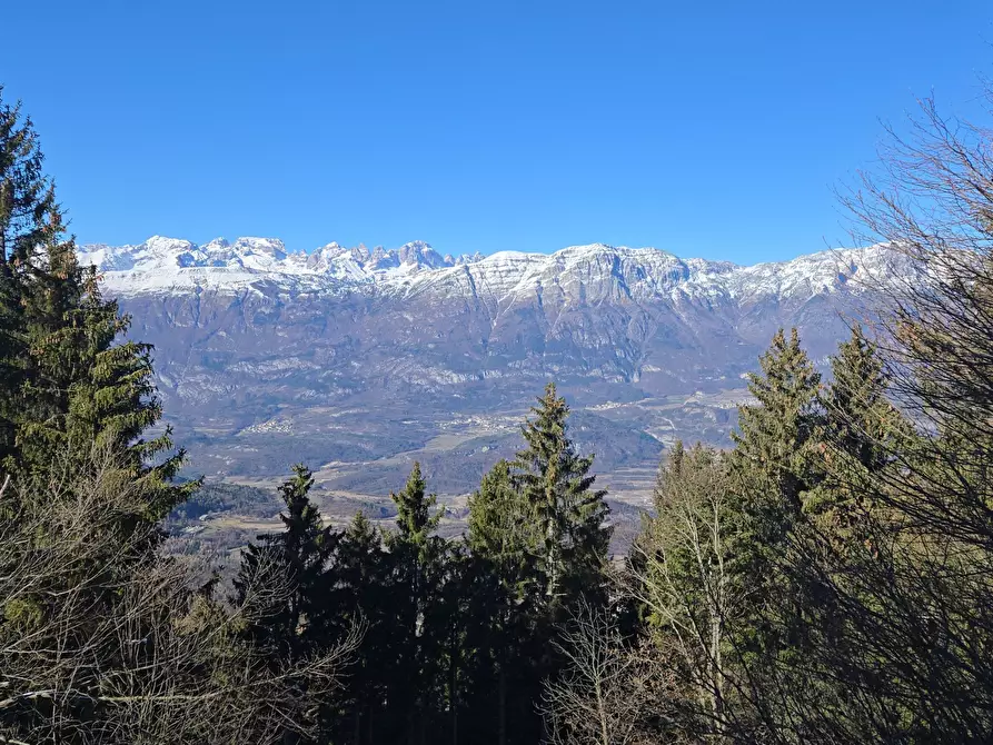 Immagine 3 di Trilocale in vendita  in Via dei Falchi 28 a Trento