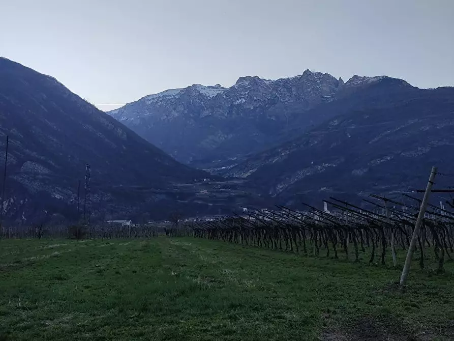 Immagine 12 di Magazzino in vendita  a Aldeno