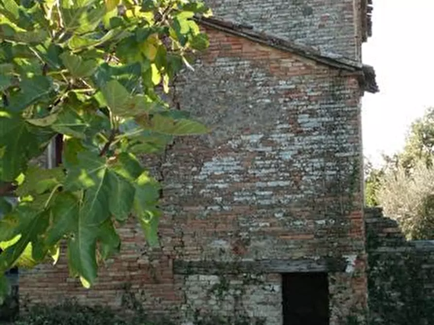Immagine 28 di Rustico / casale in vendita  in CASTEL LEONE DI SUASA a Ostra Vetere