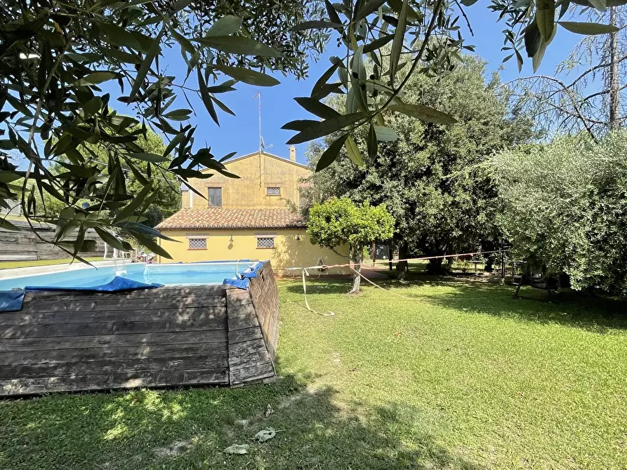 Immagine 7 di Rustico / casale in vendita  in offagna a Offagna