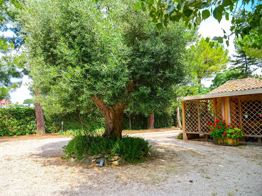 Immagine 41 di Villa in vendita  in VIA CHIARAVALLESE a Osimo