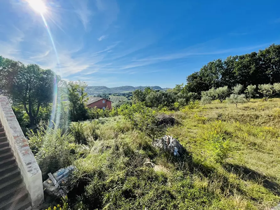 Immagine 42 di Rustico / casale in vendita  in via abbadia a Osimo