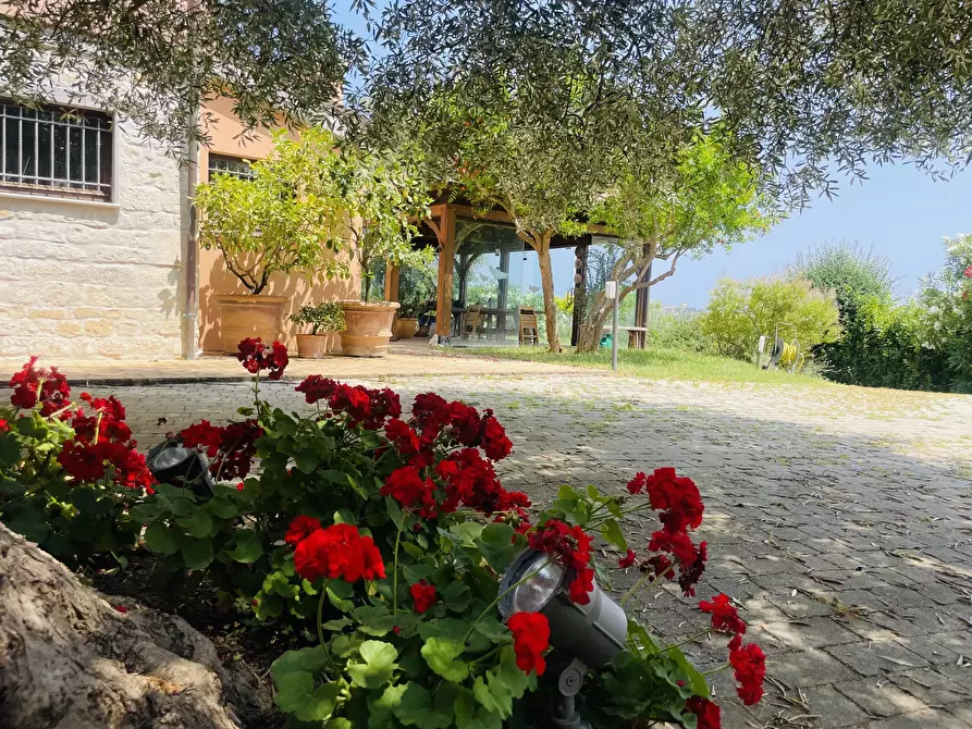 Immagine 30 di Villa in vendita  in Coppo a Sirolo