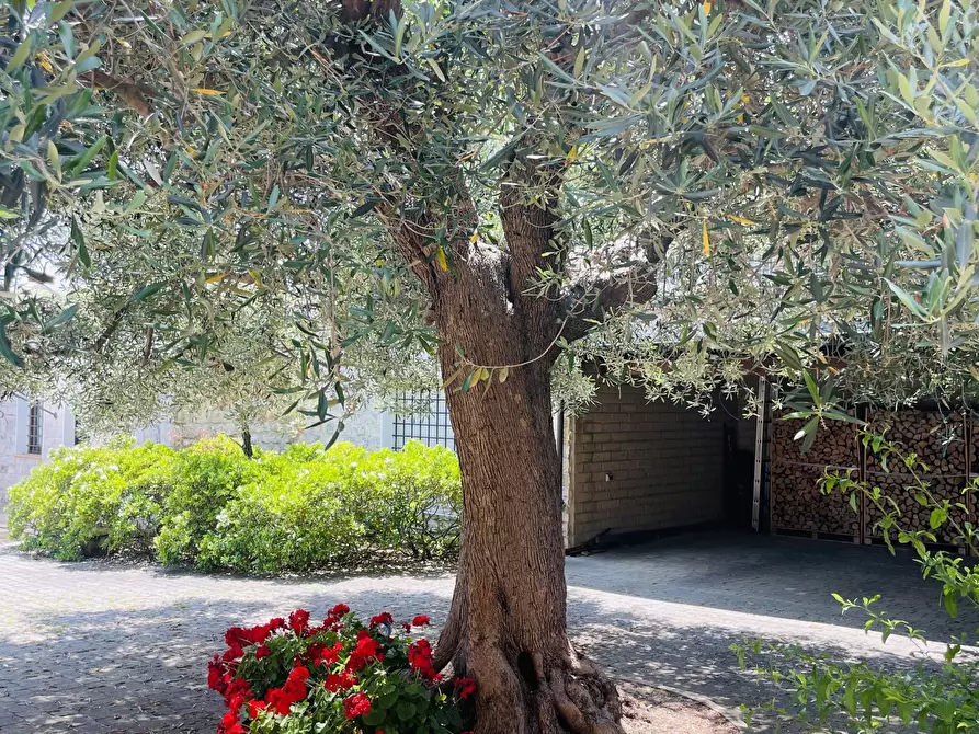 Immagine 18 di Villa in vendita  in Coppo a Sirolo