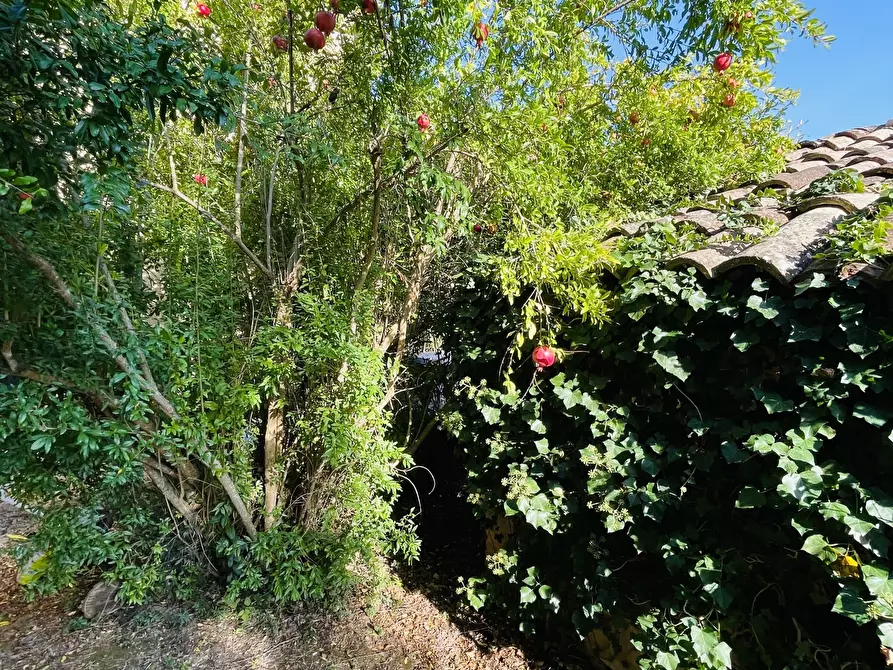 Immagine 6 di Rustico / casale in vendita  in san savino a Montecosaro