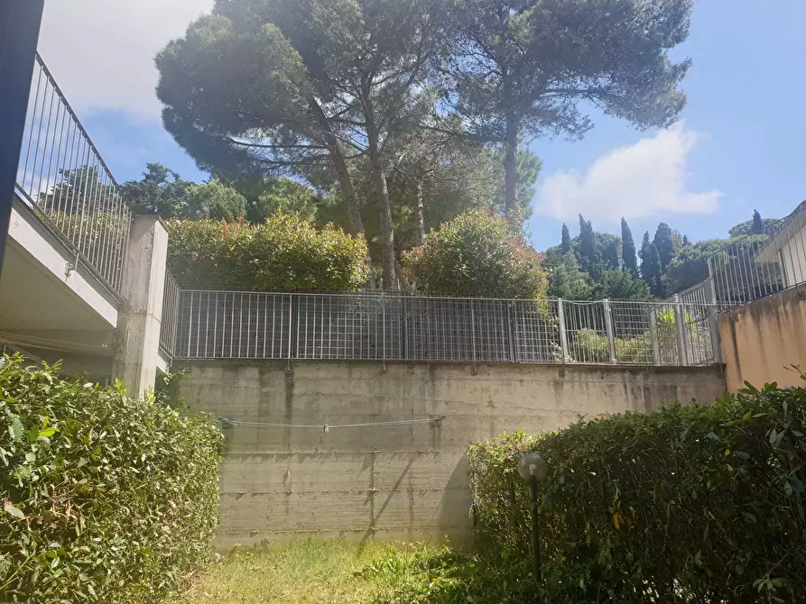 Immagine 11 di Appartamento in vendita  a Livorno