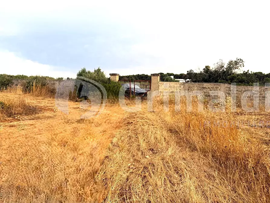 Immagine 16 di Terreno agricolo in vendita  in Strada Statale 274 a Gallipoli