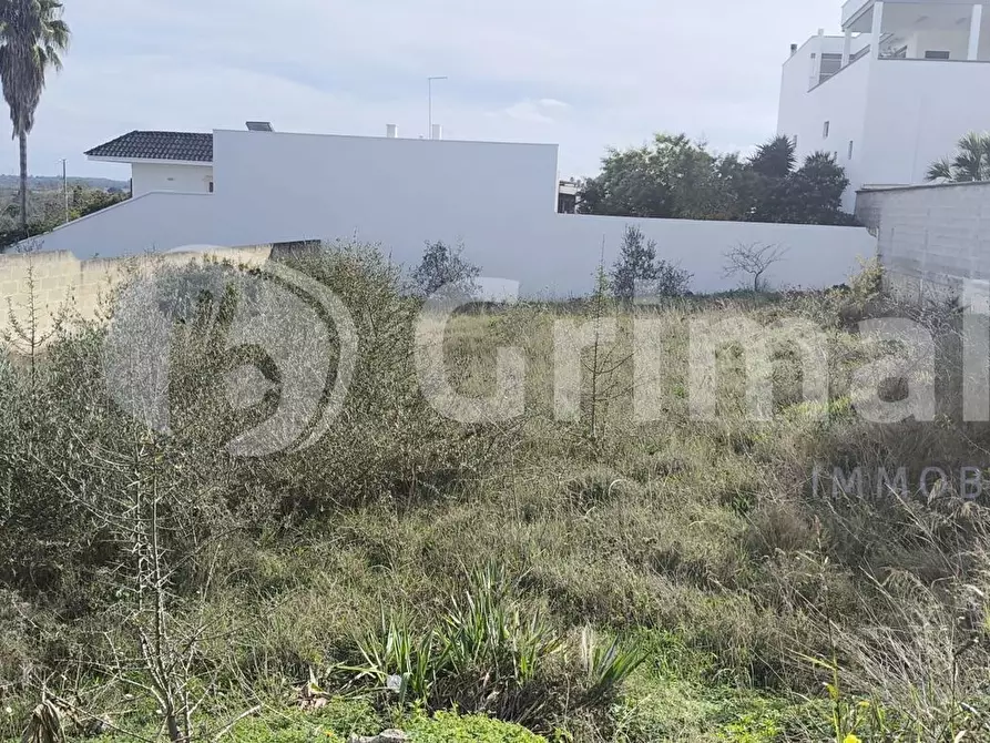 Immagine 5 di Terreno edificabile in vendita  in via enaudi a Collepasso